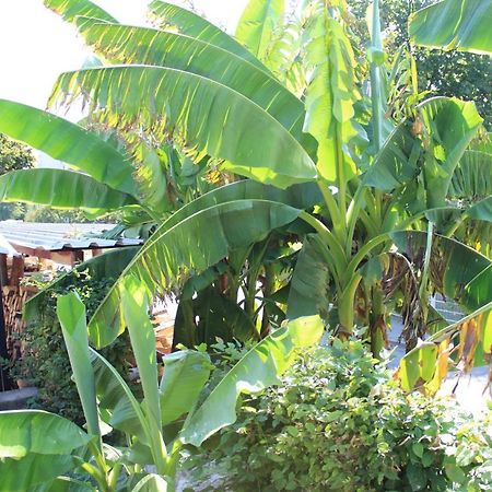 Studentenwohnung Allensbach Ngoại thất bức ảnh